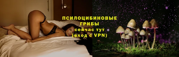 индика Абдулино
