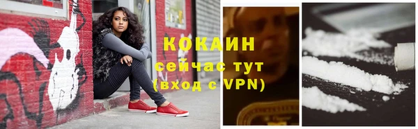 индика Абдулино