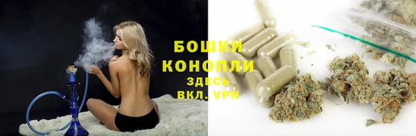 молекула духа Семилуки