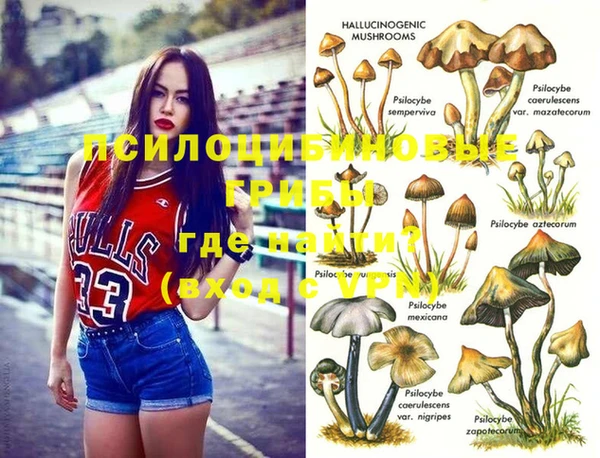 мдпв Алексин