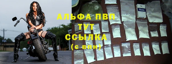 индика Абдулино