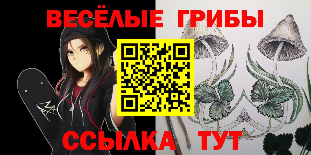 Псилоцибиновые грибы прущие грибы Кинешма