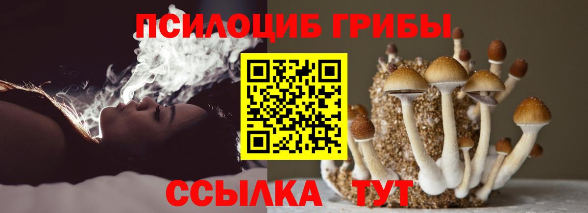 Кинешма  Галлюциногенные грибы Psilocybe  Вход с VPN 